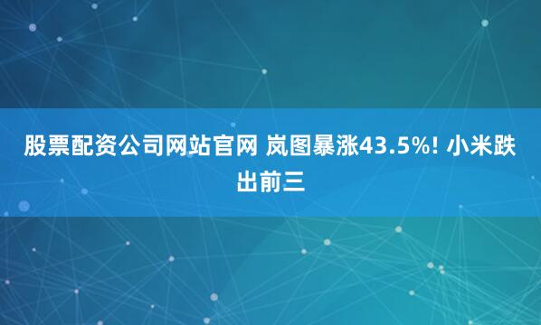 股票配资公司网站官网 岚图暴涨43.5%! 小米跌出前三